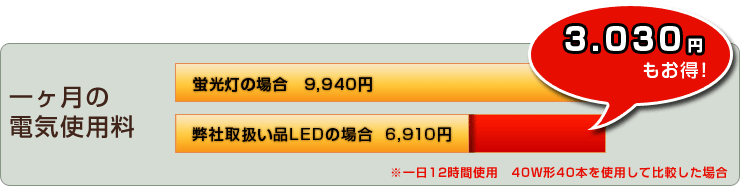 1ヵ月の電気使用料 3,030円もお得